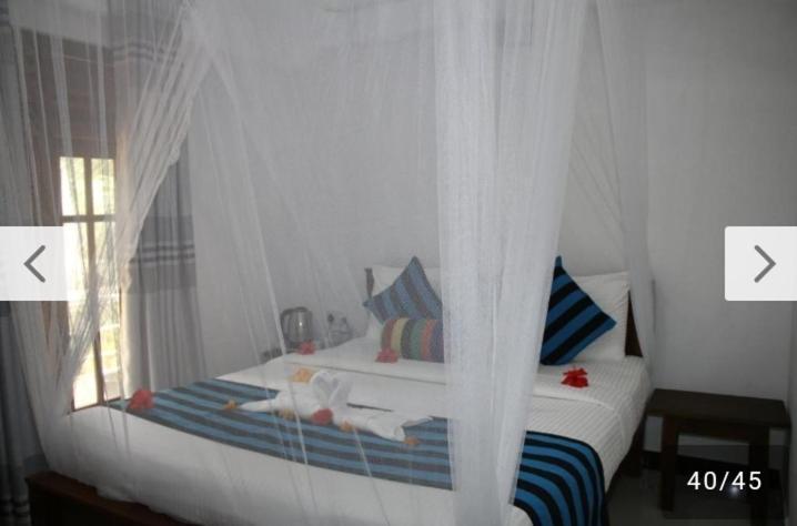 Habarana New Star Homestay Eksteriør billede